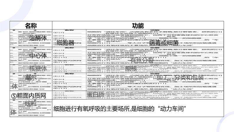 2025届高考生物基础练习第二章 第2节 细胞器和细胞的生物膜系统课件第6页