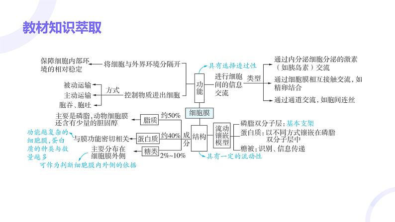 2025届高考生物基础练习第二章 第1节 细胞膜和细胞核课件第3页