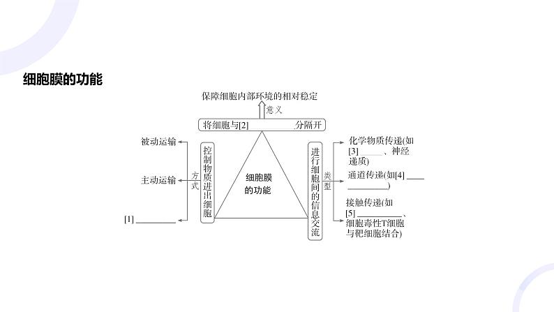 2025届高考生物基础练习第二章 第1节 细胞膜和细胞核课件第4页