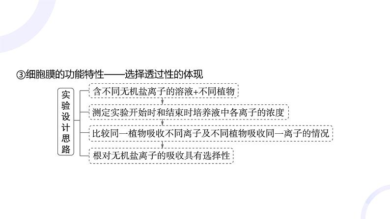 2025届高考生物基础练习第二章 第1节 细胞膜和细胞核课件第6页