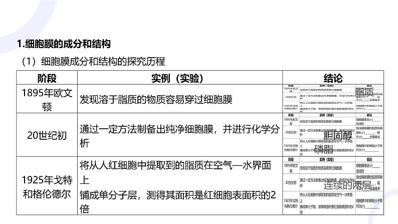 2025届高考生物基础练习第二章 第1节 细胞膜和细胞核课件第8页