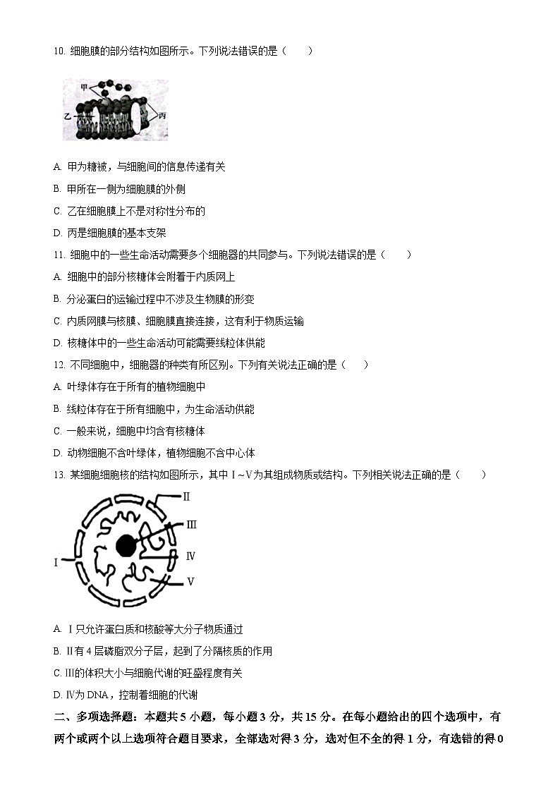 河北省沧衡名校联盟2024-2025学年高一上学期11月期中考试生物试题（原卷版）-A4第3页