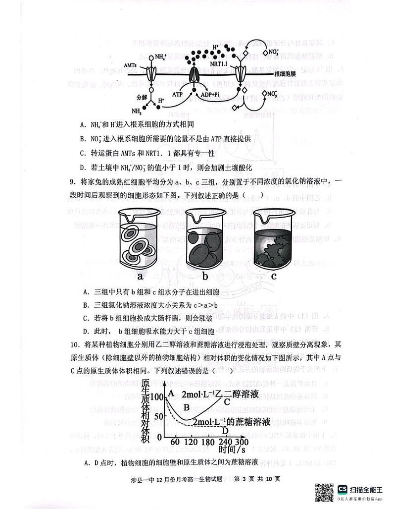 河北省邯郸市涉县一中2024-2025学年高一上学期12月月考生物试题第3页
