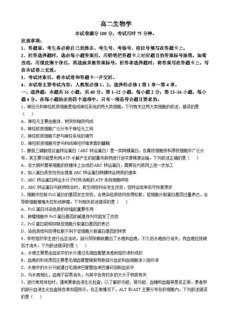 广东省湛江市2024-2025学年高二上学期11月期中考试 生物 含解析第1页