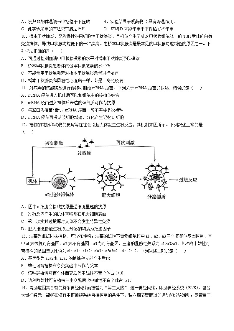 广东省湛江市2024-2025学年高二上学期11月期中考试 生物 含解析第3页