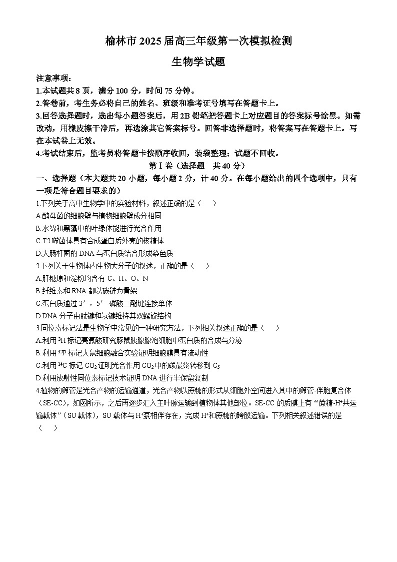 陕西省榆林市2024-2025学年高三上学期11月期中考试 生物  含答案第1页
