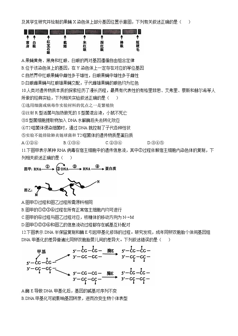 陕西省榆林市2024-2025学年高三上学期11月期中考试 生物  含答案第3页