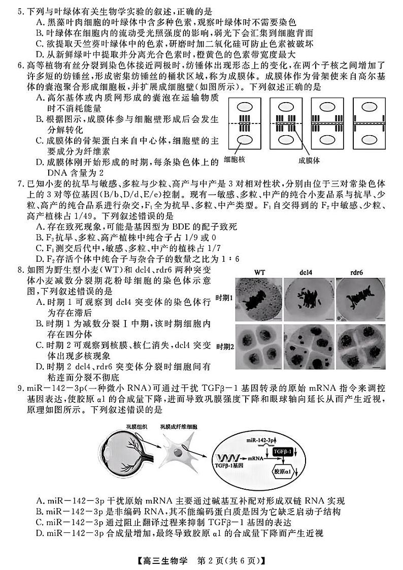 （生物试卷）金科大联考·2025届高三11月质量检测第2页