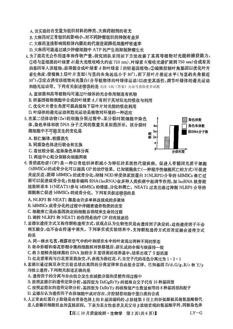 河南省部分学校2024-2025学年高三上学期11月联考生物试题第2页