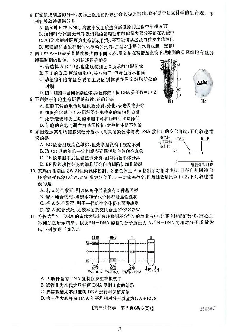 辽宁省沈阳市重点高中联合体2024-2025学年高三上学期11月期中生物试题第3页