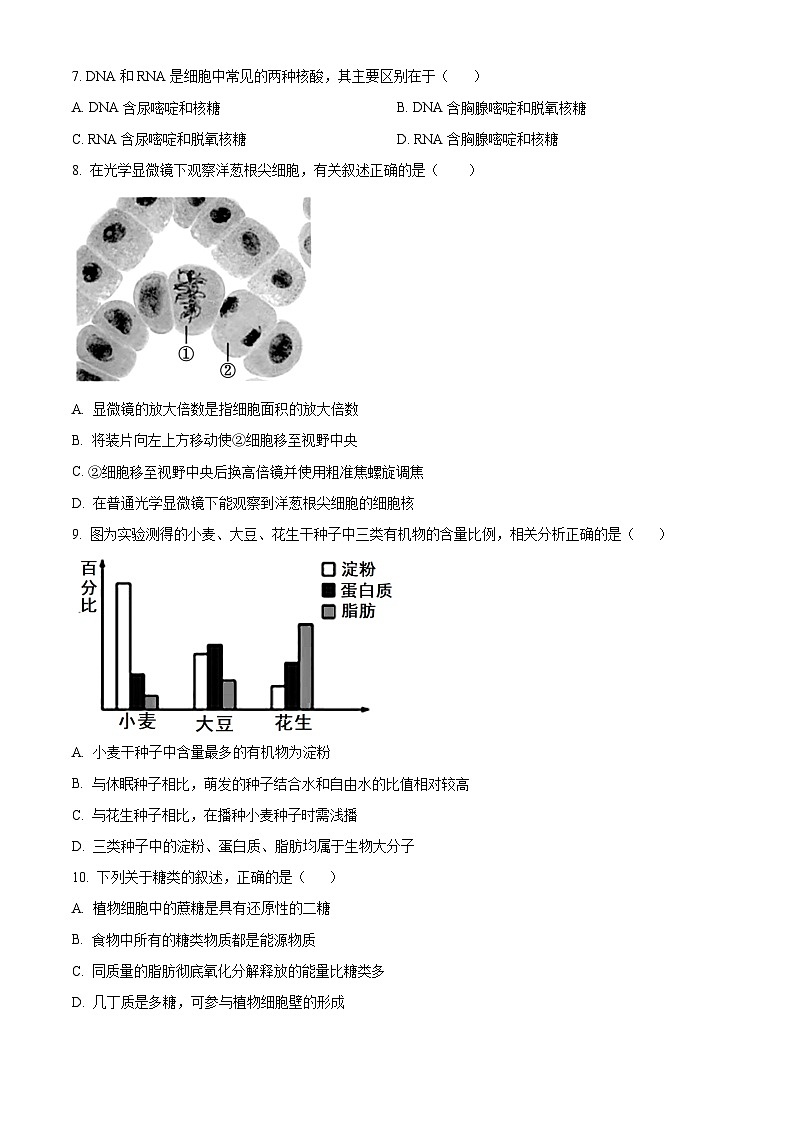 江苏省高邮市2024-2025学年高一上学期期中考试生物试题  Word版无答案第2页