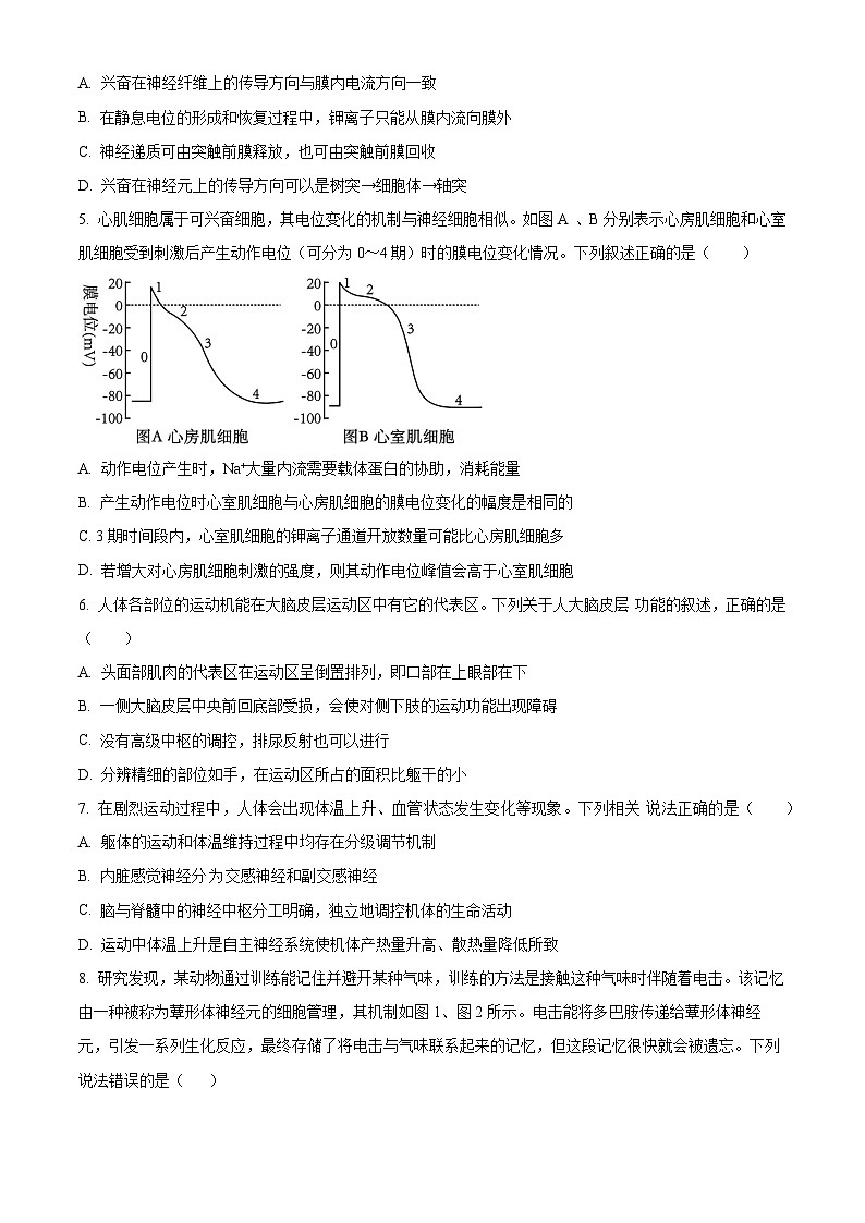 河南省郑州市十校联考2024-2025学年高二上学期11月期中生物试题  Word版无答案第2页