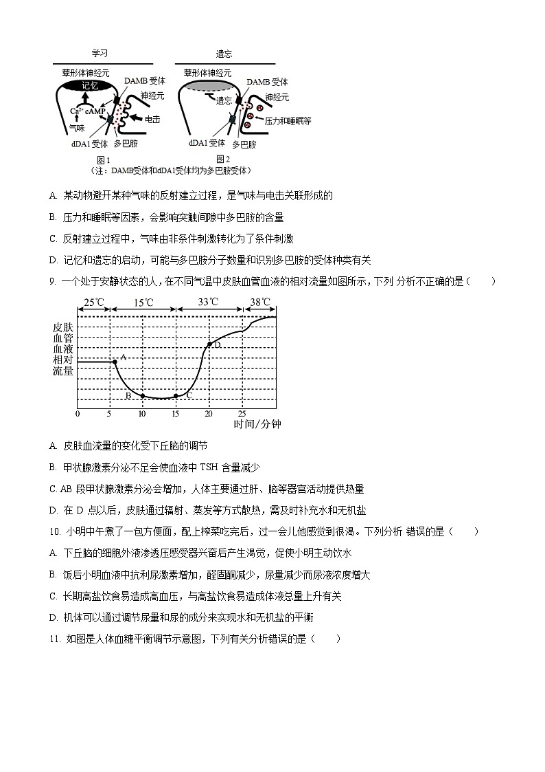 河南省郑州市十校联考2024-2025学年高二上学期11月期中生物试题  Word版无答案第3页