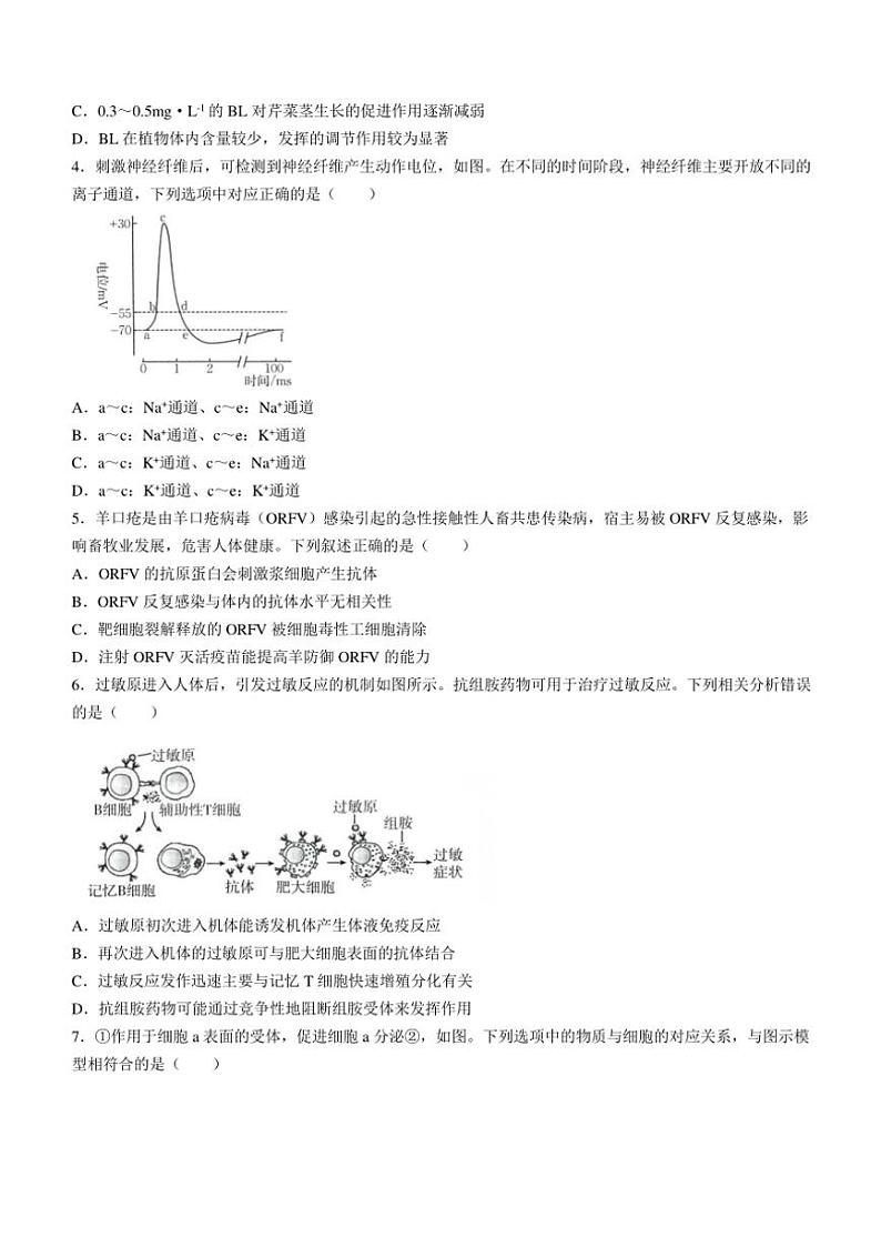 广东省部分名校2024～2025学年高二(上)期中生物试卷(含解析)第2页