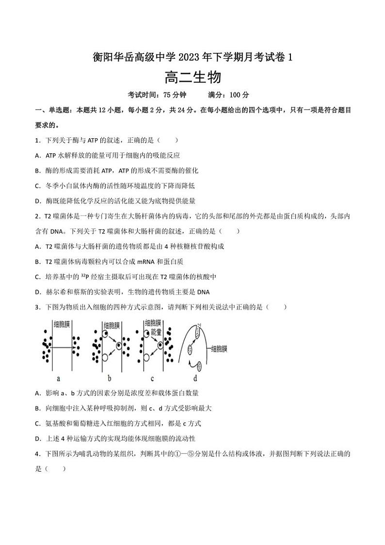 湖南省衡阳市华岳高级中学2023～2024学年高二(上)第一次月考生物试卷(含答案)第1页