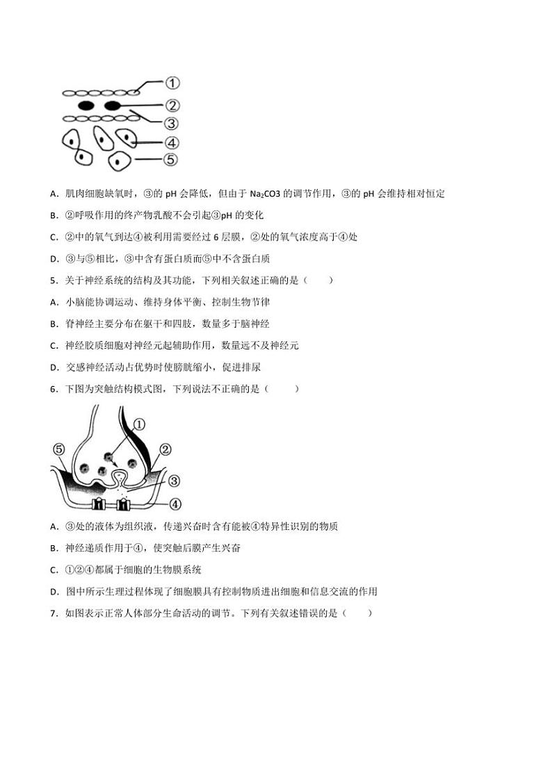 湖南省衡阳市华岳高级中学2023～2024学年高二(上)第一次月考生物试卷(含答案)第2页