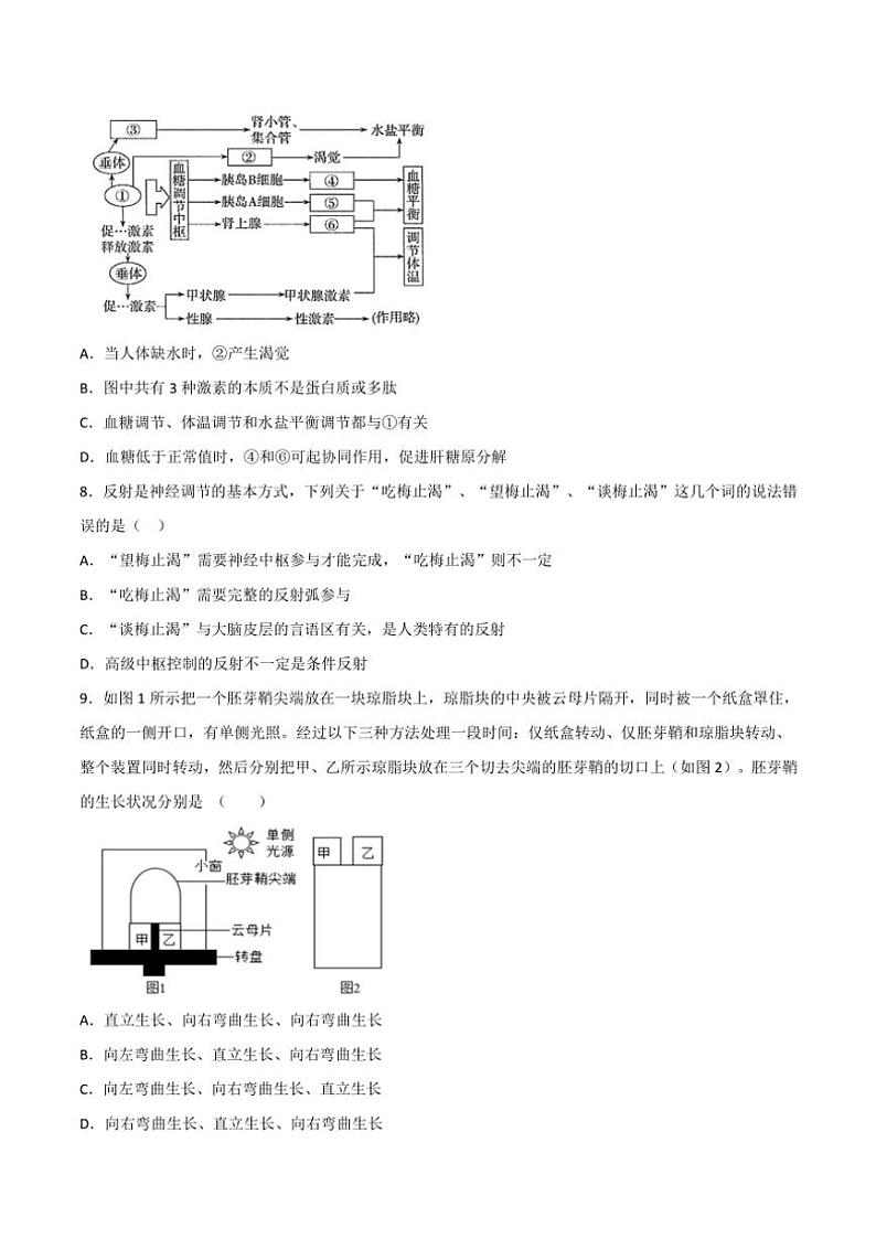 湖南省衡阳市华岳高级中学2023～2024学年高二(上)第一次月考生物试卷(含答案)第3页