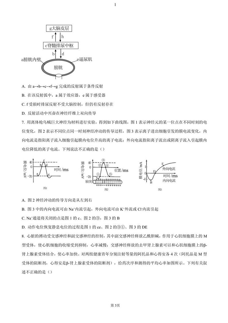 重庆市名校联盟2024～2025学年高二(上)期中生物试卷(含答案)第3页