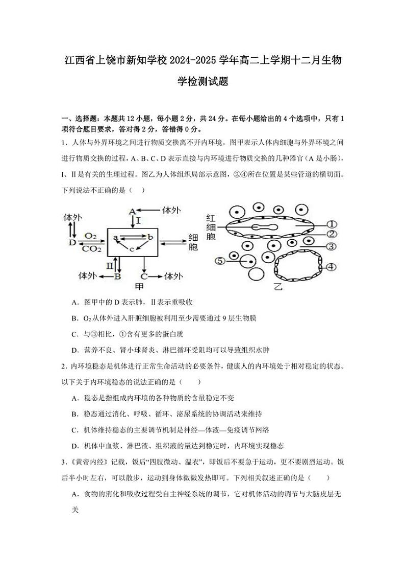 江西省上饶市新知学校2024～2025学年高二(上)十二月生物检测试卷(含答案)第1页