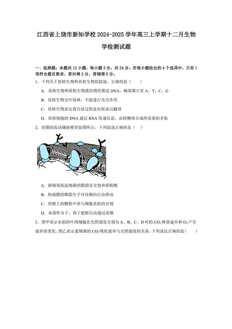 江西省上饶市新知学校2024～2025学年高三(上)十二月生物检测试卷(含答案)第1页
