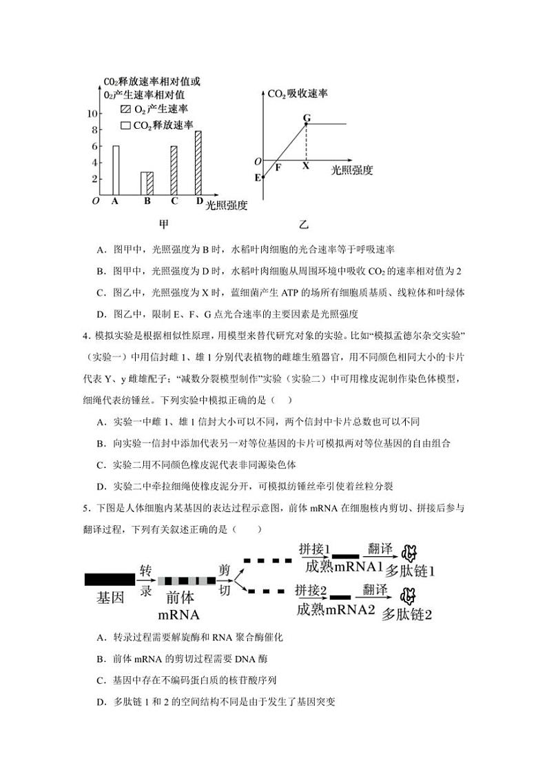 江西省上饶市新知学校2024～2025学年高三(上)十二月生物检测试卷(含答案)第2页