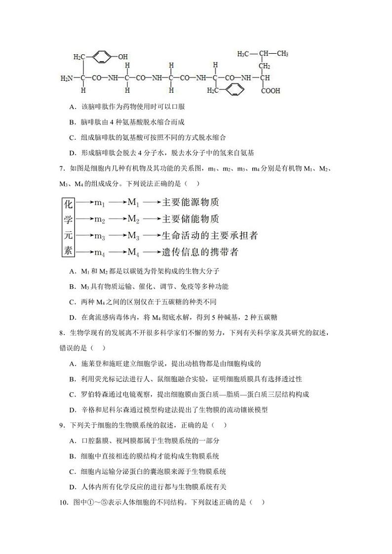 江西省上饶市新知学校2024～2025学年高一(上)十二月生物检测试卷(含答案)第3页