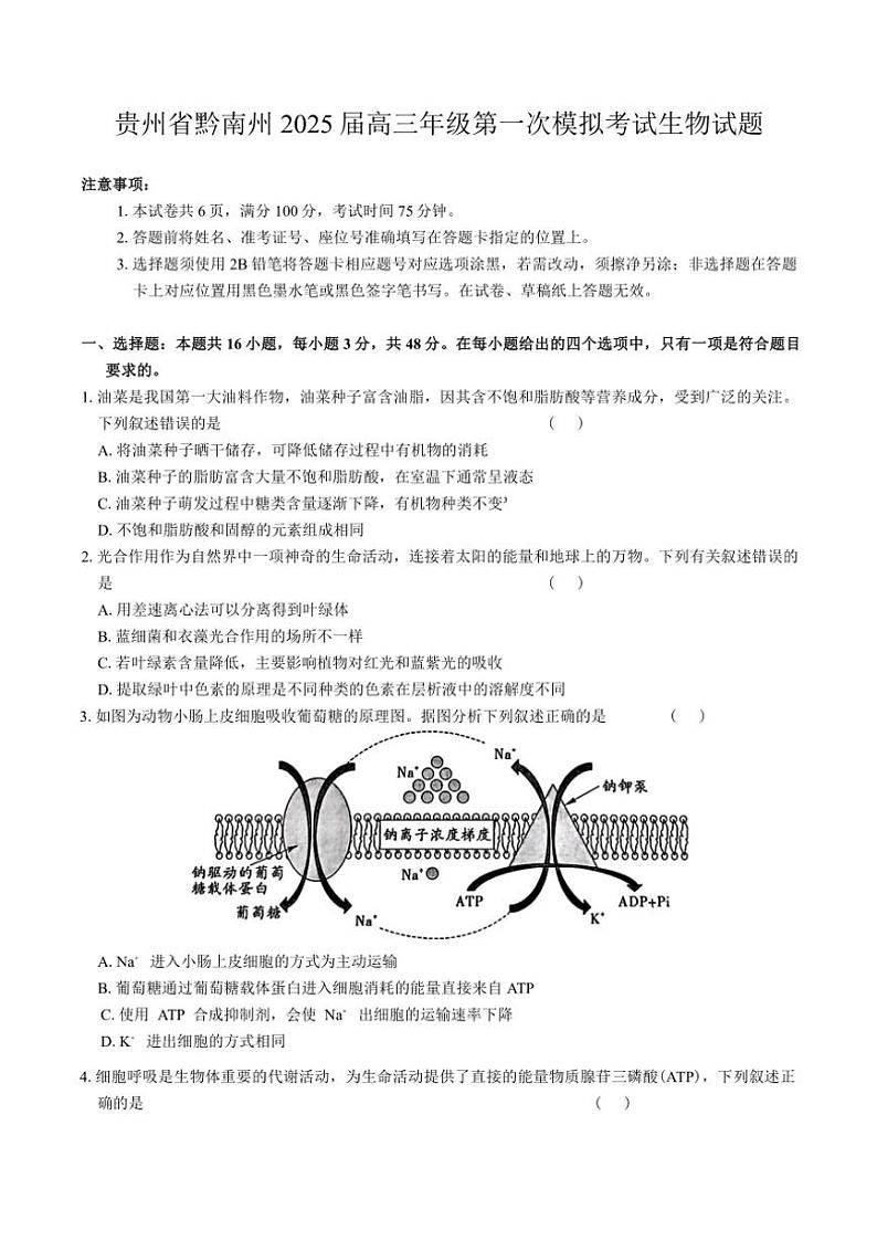 贵州省黔南州2025届高三年级第一次模拟考试生物试卷(含答案)第1页