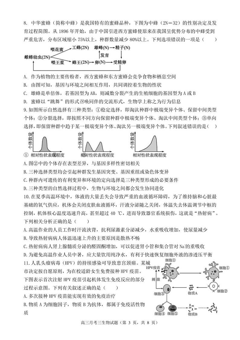 陕西省宝鸡市金台区宝鸡中学2024～2025学年高三(上)12月月考生物试卷(含答案)第3页