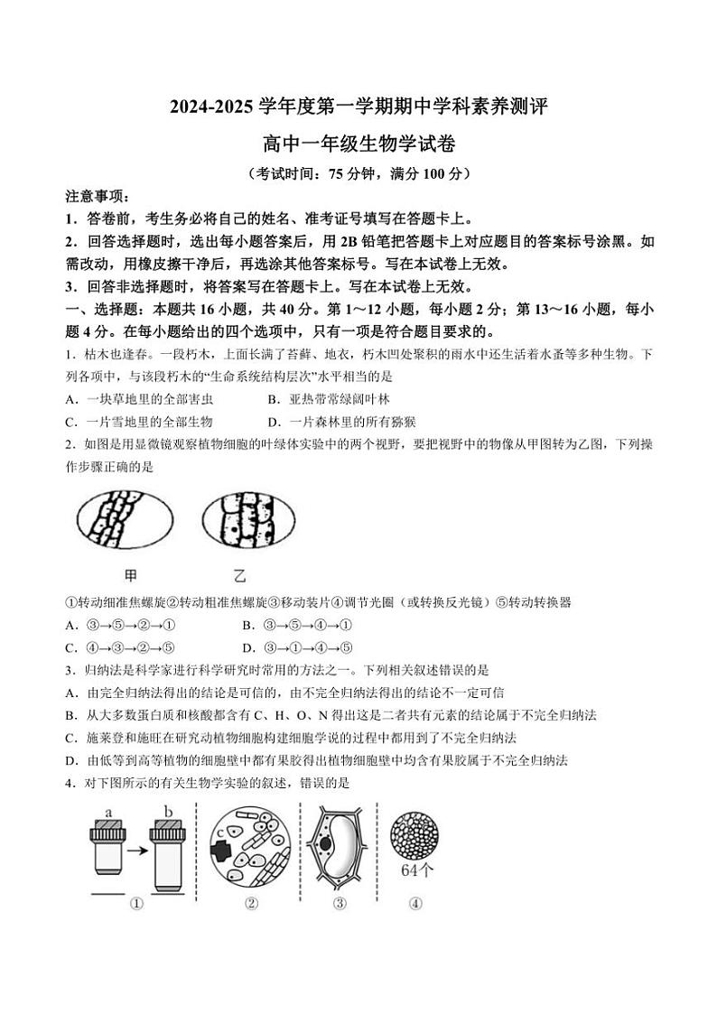广东省茂名市化州市2024～2025学年高一(上)期中生物试卷(含答案)第1页