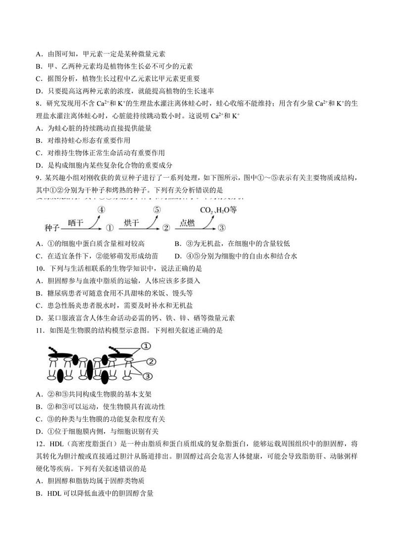 广东省茂名市化州市2024～2025学年高一(上)期中生物试卷(含答案)第3页