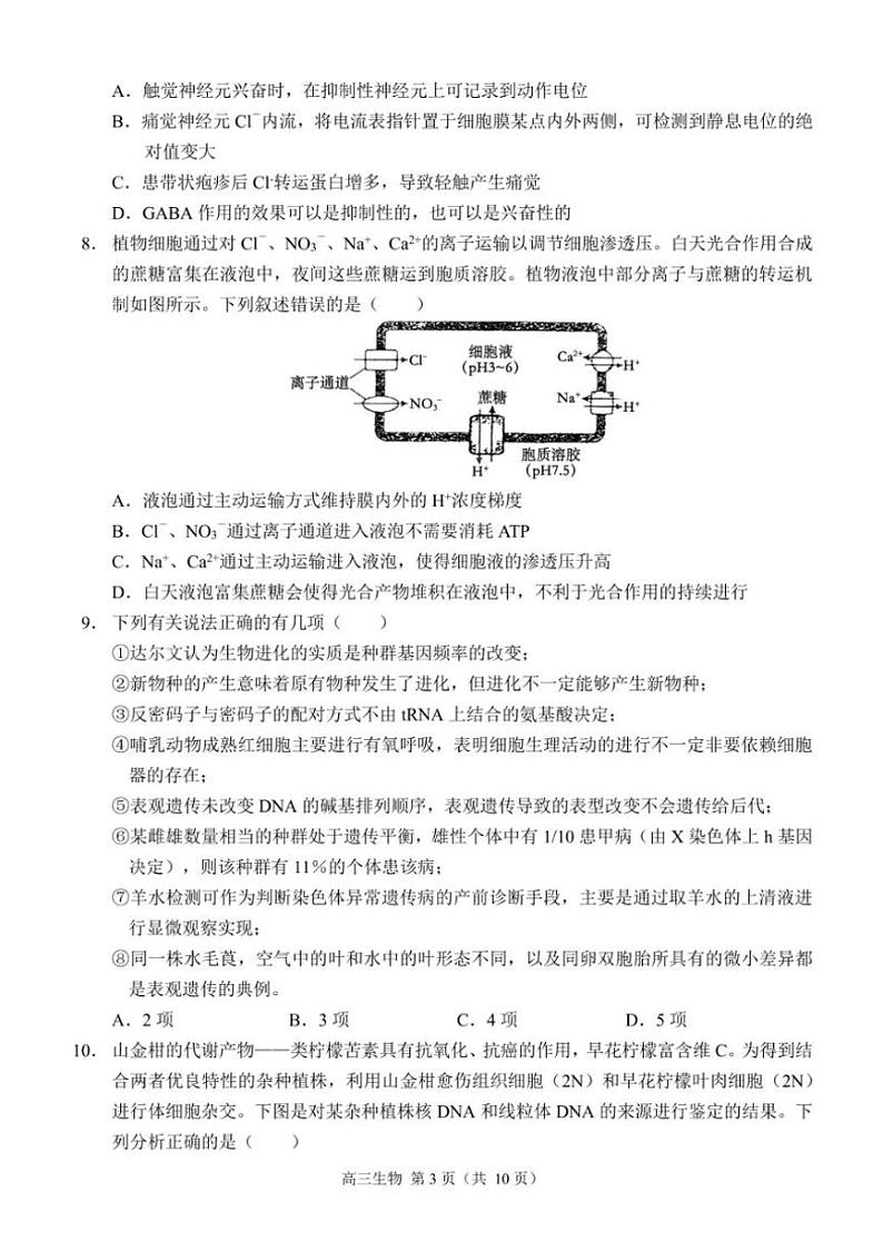 重庆市西南大学附属中学校2024～2025学年高三(上)11月阶段性检测(二)生物试卷(含答案)第3页