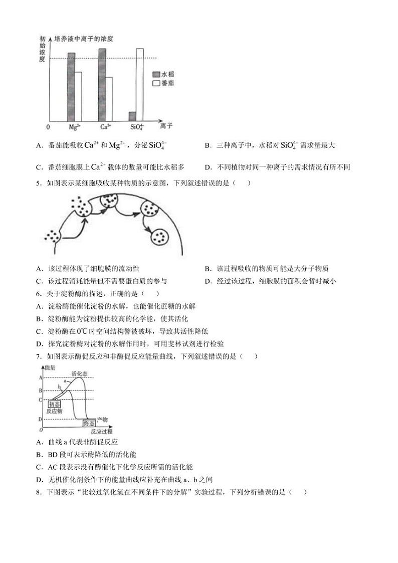 河北省邢台市信都区邢台市第一中学2024～2025学年高一(上)11月第三次月考生物试卷(含答案)第2页