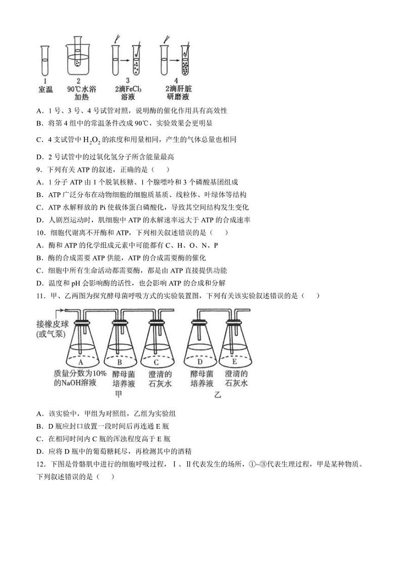 河北省邢台市信都区邢台市第一中学2024～2025学年高一(上)11月第三次月考生物试卷(含答案)第3页