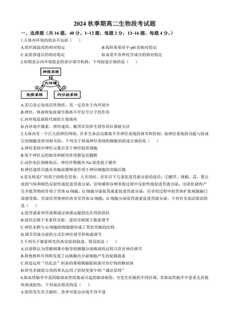 广西壮族自治区玉林市博白县中学2024～2025学年高二(上)期中生物试卷(无答案)第1页