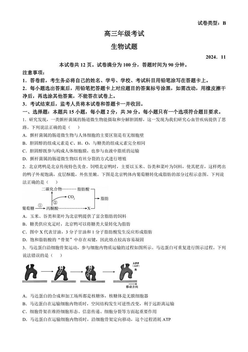 山东省泰安市2024～2025学年高三(上)期中生物试卷(含答案)第1页