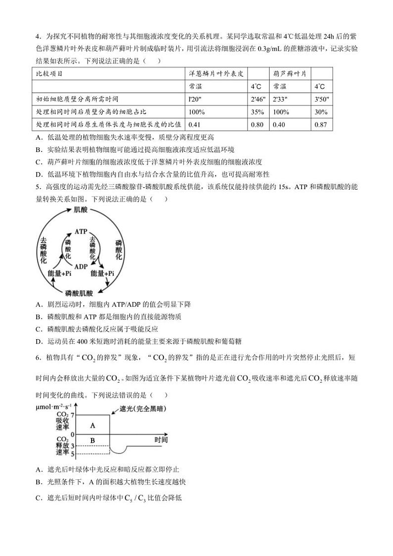 山东省泰安市2024～2025学年高三(上)期中生物试卷(含答案)第2页