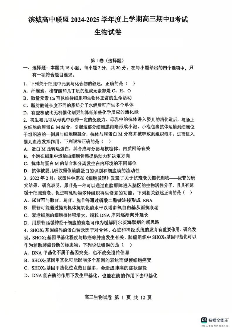 辽宁省大连市滨城高中联盟2024～2025学年高三(上)中II考试生物试卷(含答案)第1页