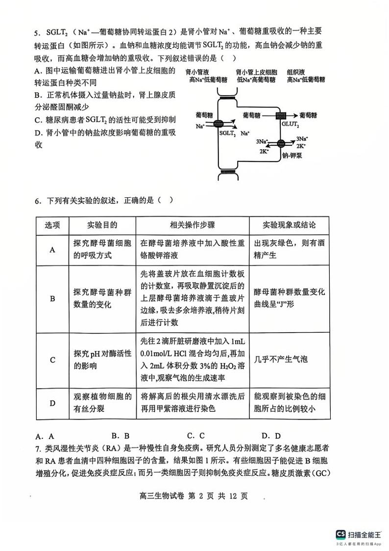 辽宁省大连市滨城高中联盟2024～2025学年高三(上)中II考试生物试卷(含答案)第2页