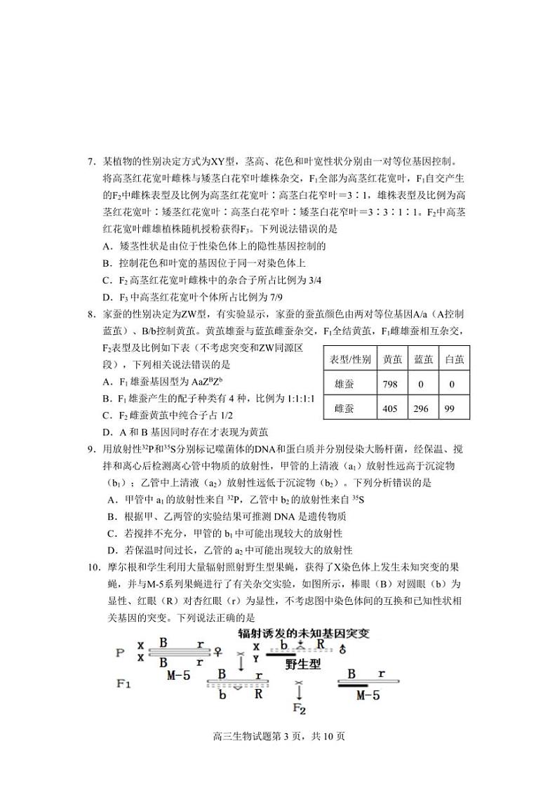 山东省威海市文登区2024～2025学年高三(上)第一次高考模拟生物试卷(含答案)第3页