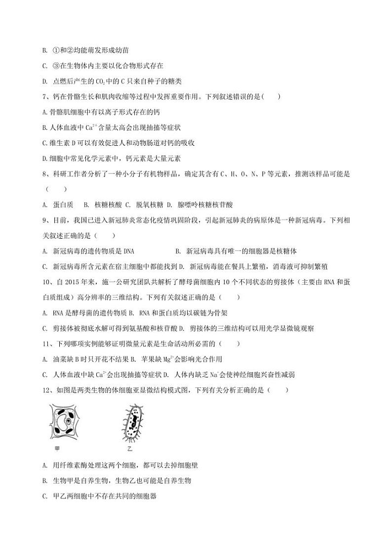 海南省某校2024～2025学年高一(上)期中生物试卷(含答案)第2页