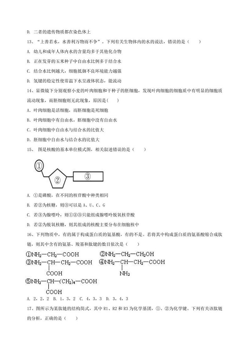 海南省某校2024～2025学年高一(上)期中生物试卷(含答案)第3页