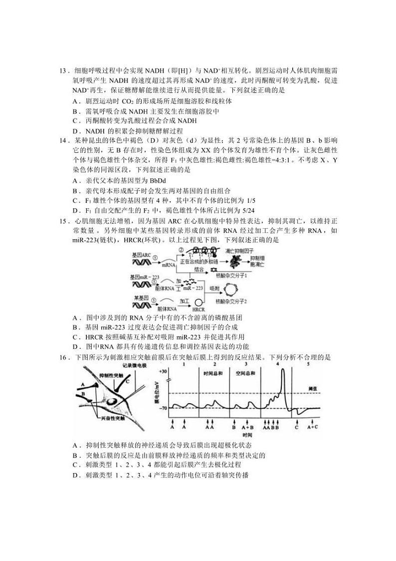 浙江省金丽衢十二校2023～2024学年高三(上)第一次联考生物试卷(含答案)第3页