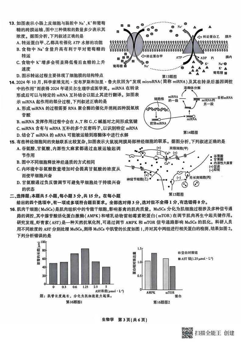 东北三省精准教学2024～2025学年高三(上)12月联考生物试卷(含答案)第3页