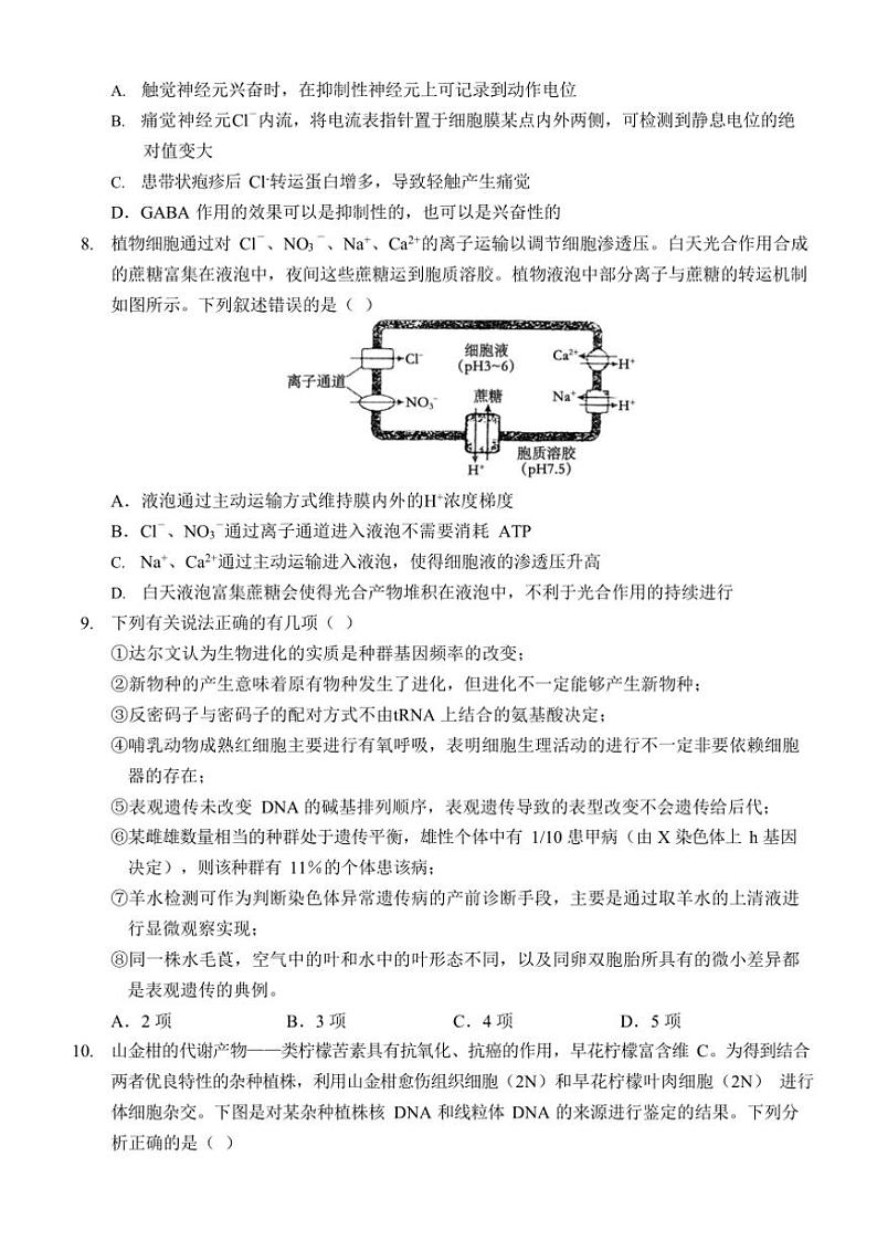 重庆市西南大学附属中学校2024～2025学年高三(上)11月阶段性检查生物试卷(二)(含解析)第3页