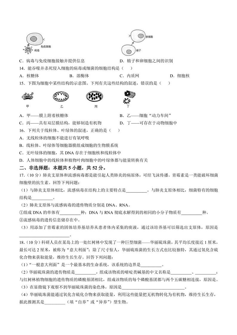 青海省海南州2024～2025学年高一(上)期中质量检测生物试卷(含答案)第3页