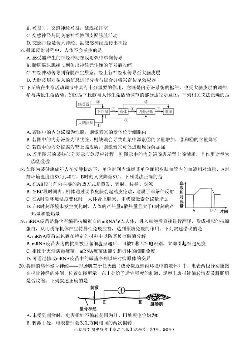 浙江省六校联盟2024～2025学年高二(上)期中联考生物试卷(含答案)第3页
