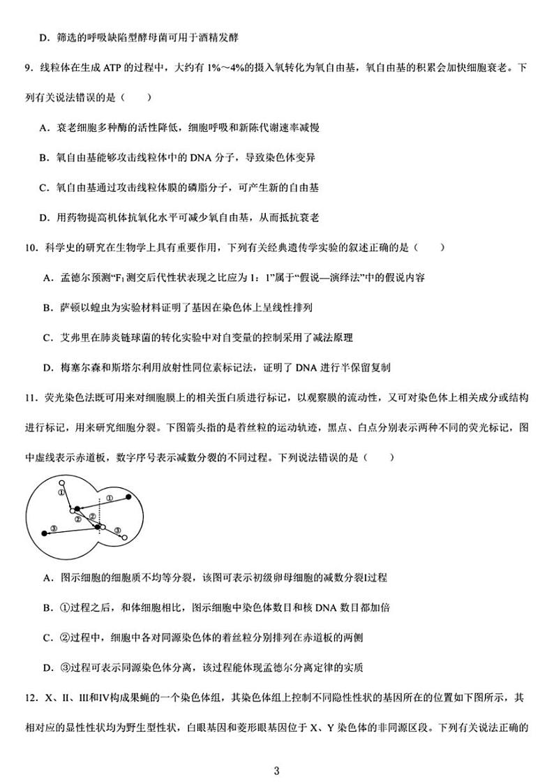 黑龙江省哈尔滨市德强高级中学2024～2025学年高三(上)期中生物试卷(含答案)第3页