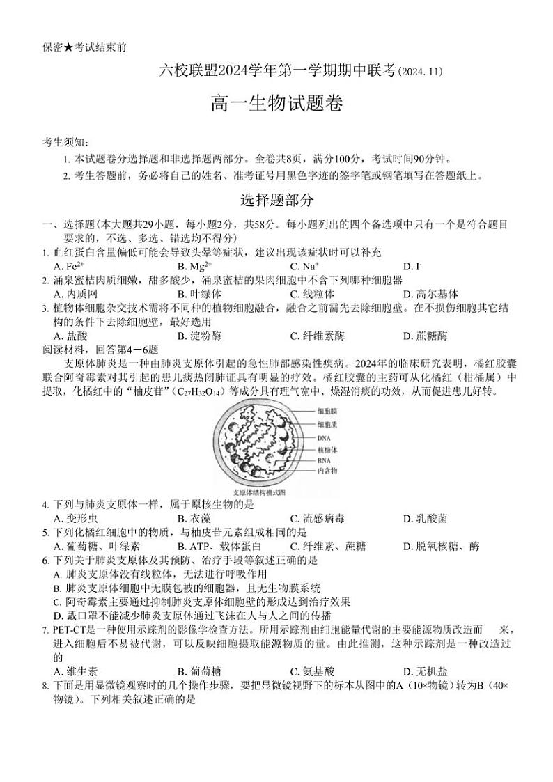浙江省六校联盟2024～2025学年高一(上)期中联考生物试卷(含答案)第1页