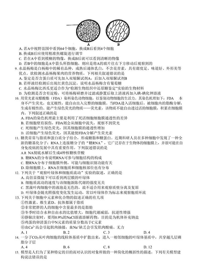 浙江省六校联盟2024～2025学年高一(上)期中联考生物试卷(含答案)第2页