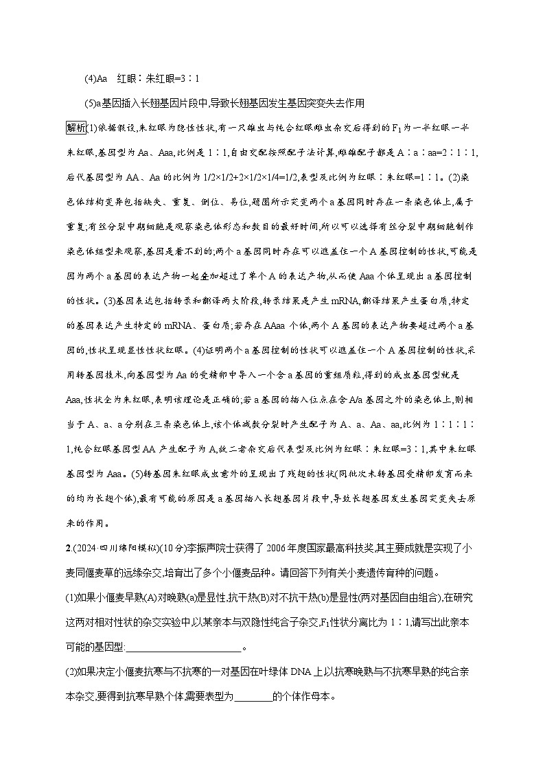 2025届生物二轮高考复习  变异与育种 大题分析与表达练练 作业第2页